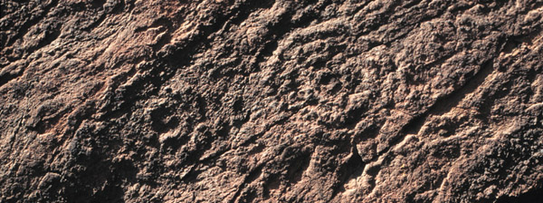 chenal600crop